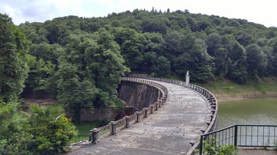 横跨绿色森林的棕色混凝土桥